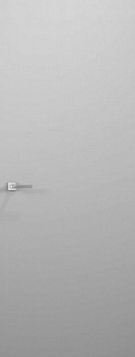 Дверь Status ЛОМО Серебро